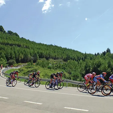 In With View Apartament *